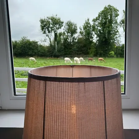 Wood View * Claremorris