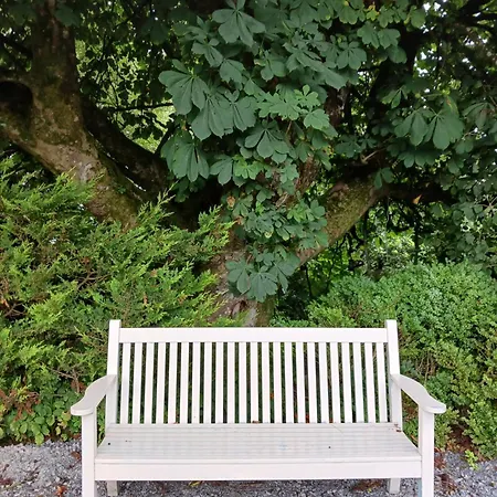 Wood View Claremorris